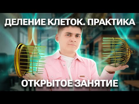 БОЛЬШАЯ ПРАКТИКА по делениям клеток | Митоз и Мейоз | Марк Ламарк