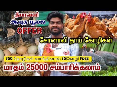 Sonali Mother Chicken | 230 Egg Laying Sonali Chicken | Sonali Kozhi Valarpu | Poultry Farming