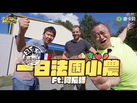 《一日系列第二百二十集》呀敗！邰哥嗅覺大破防！不可能到法國還躲不過香菜吧？軍中名菜居然在法國重現江湖？！ -  一日法國小農 ft.阿辰師