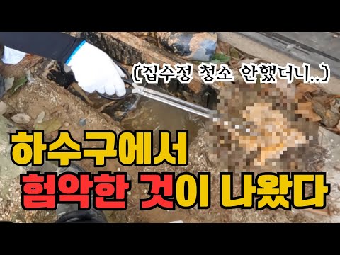 "We almost went out of business just four months after opening..." The shocking cause of a Busan ...