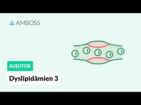 Dyslipidämien Teil 3 – Atherosklerose -- AMBOSS Auditor