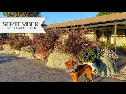 Early Morning Walkabout: September Front Garden Tour 🌸🪲🌻