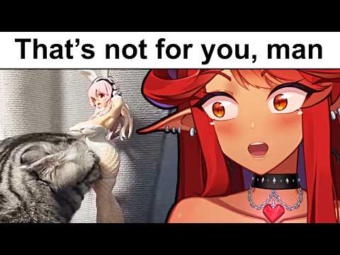 THESE VIDEOS ARE TOO FUNNY!! (r/Funnyvideos)