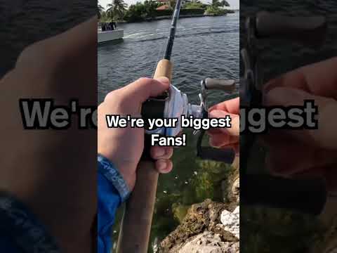 Can I Catch a Fish on a Squid? #Jesus #GrayGang