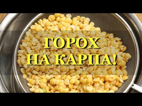 Раскрываю СЕКРЕТЫ! Горох для рыбалки на карпа!  Убойная насадка на карпа, карася, амура. fishing
