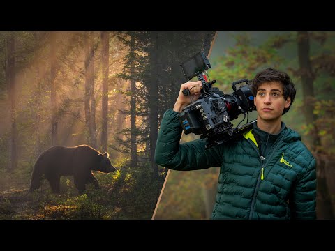 A Year as a Fulltime Wildlife Filmmaker | My favourite Moments