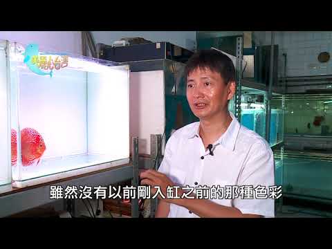 【台中北區】邱崎峰的七彩育種之路 | 用心的產業 | 288 | #美麗心台灣