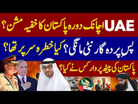 Secret purpose of UAE President's visit To Pakistan | What guarantee is required? 