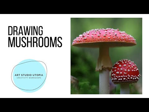 Drawing Mushrooms