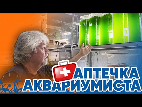 Аквариумные новости с Владимиром Ковалёвым (14.11.2024). Аптечка аквариумиста.