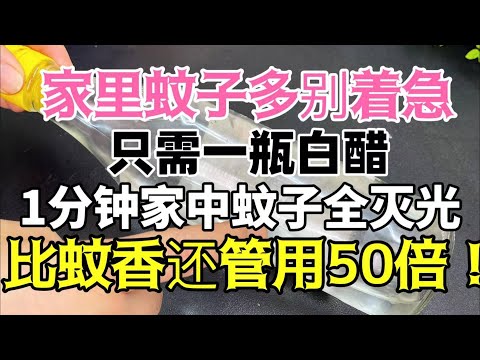 Got Mosquitoes? Just One Bottle of Vinegar, All Gone in 1 Minute!