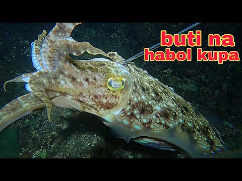 ep586 Dive2 malaking kulambutan nakatakas sa kasama ko