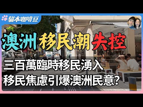 2025澳洲临时签证暴涨至300万，移民政策会大转弯吗？临时签证增长70%，庇护案件堆到天花板｜对未来的悲观情绪创十年新高，澳洲人正在经历什么？| 澳洲与新西兰的移民生活深度分享 | 猫本咖啡豆