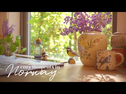 Quiet Morning with an Unexpected Visitor at the Forest Cabin - Slow Living Vlog