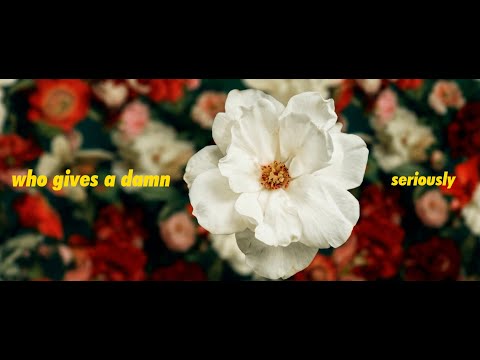 Bigsea.ai - who gives a damn