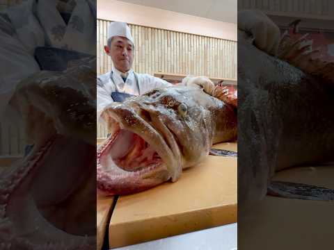 JAPAN'S BIGGEST Indoor Fish Tank! 🐟 22kg Giant Fish & 200 Lunches #japanesefood