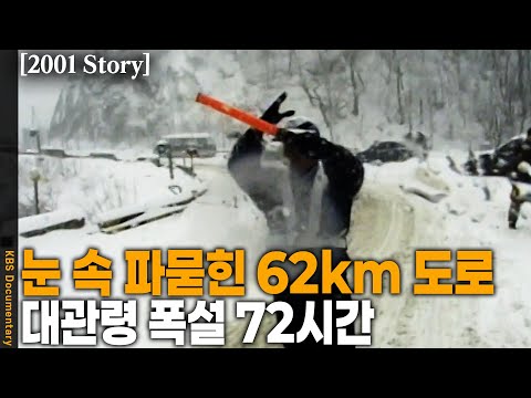 [2001 Story] 6,000여대의 차량 고립, 18,000여명이 오도가도 못한… 해발 800여m 대관령 정상에서 무슨 일이? | KBS 20010118 방송