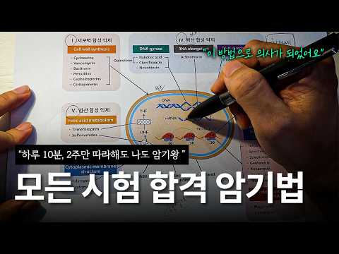 외우기 싫어도 '이 방법'이면 강제로 외워져요..ㅣ5단계 암기법ㅣ2주동안 10분만 해보세요, 성공은 특별한 사람이 아니라 꾸준한 사람이 만듭니다