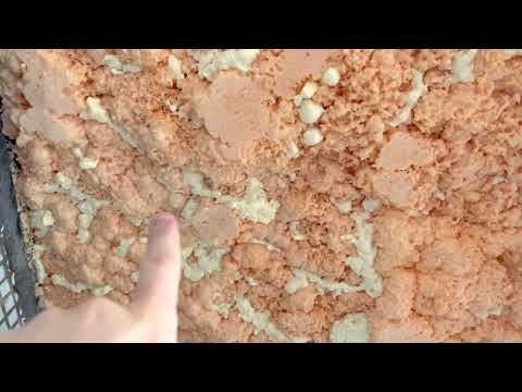 Суровая правда про polynor. Напыляемый утеплитель.