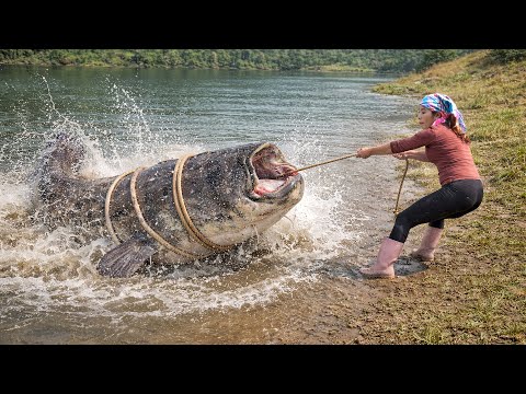 Fishing Skills: Catching 1900kg+ River Catfish & Giant Carp by Hand with DIY Trap for Market Sale