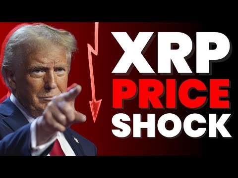 David LEAKS XRP's Real Price *wow*