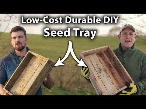 How To Make a Seed Tray out of Pallets | Easy and Low-Cost Pallet Project!