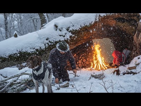Surviving Winter for 3 Days Alone Under a Fallen Tree With Only a Thin Tarp | Winter Camping