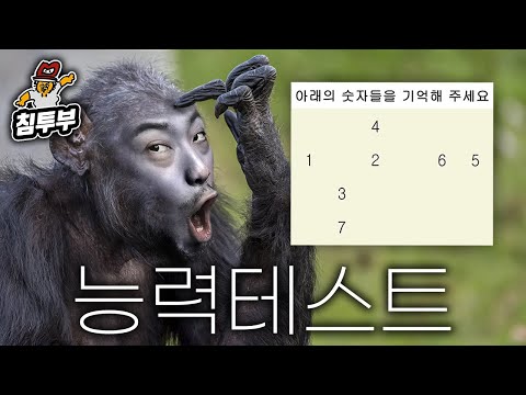 침착맨 vs 침팬지