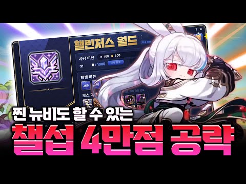 [메이플] 찐 메린이분들도 따라할 수 있는 챌린저스 서버 공략입니다. 정말 자세하게 알려드립니다!!