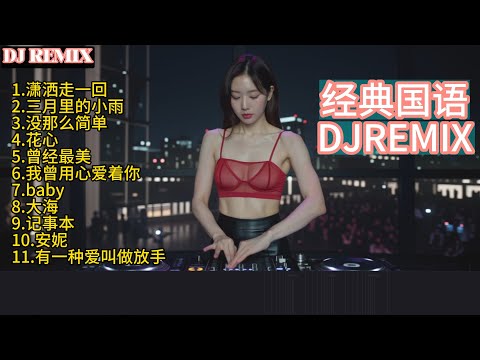经典国语歌中 DJ REMIX串烧【潇洒走一回】【三月里的小雨】【没那么简单】【花心】【曾经最美】【我曾用心爱着你】【baby】【大海】【记事本】【安妮】【有一种爱叫做放手】DJ打碟实录 Vol.31