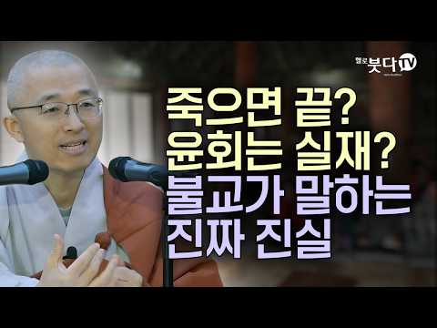 죽으면 끝? 윤회는 실재? 불교가 말하는 진짜 진실 | 목탁소리 | 마음공부 | 인생조언 |법상스님의 영가현각 증도가 139회(70-1)