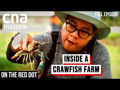 Hi-Tech Crawfish Farm: How I Grow The Best Crawfish | On The Red Dot | Full Episode