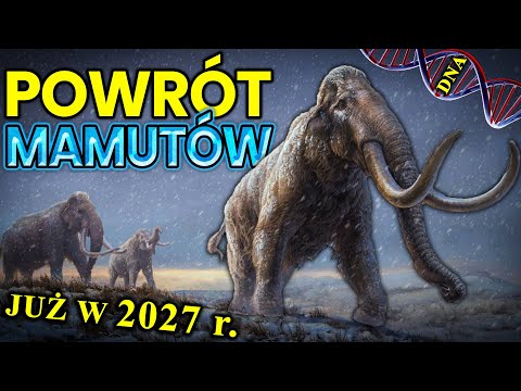 Już Wkrótce na Ziemię Powróci MAMUT! - Plejstoceńska Bestia