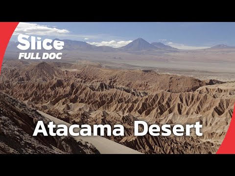 Atacama: Life in the World’s Driest Desert | FULL DOCUMENTARY