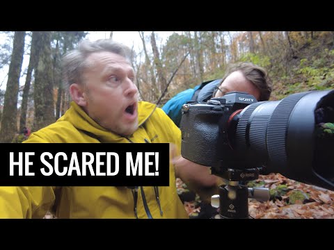 This Guy Almost Gave Me A Heart Attack - Autumn Landscape Photography