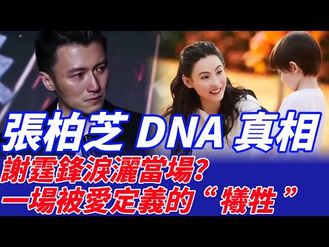 張柏芝DNA真相謝霆鋒淚灑當場？一場被愛定義的“犧牲”