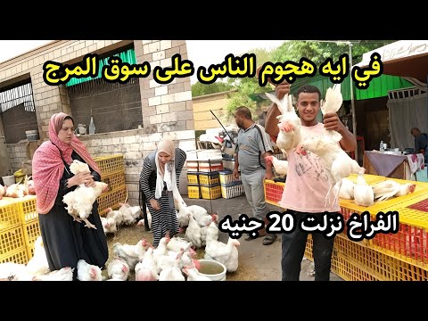 الناس اتجننت في سوق المرج 😱 صدمة نزول اسعار الفراخ والبط 20 جنيه 🏃🏃