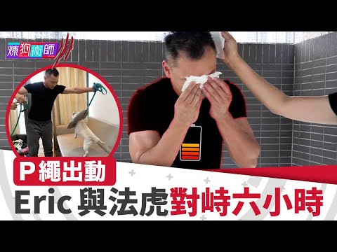 屈臣氏 Wats Petmacy 寵物藥妝呈獻：煉狗術師III｜EP14 Part2｜P繩出動 Eric與法虎對峙六小時｜Eric Ko｜鄺芷凡｜法虎｜HOY｜HOYTV