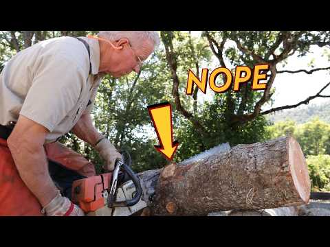 Chainsaw Newbie? Here's Everything You Need to Know.