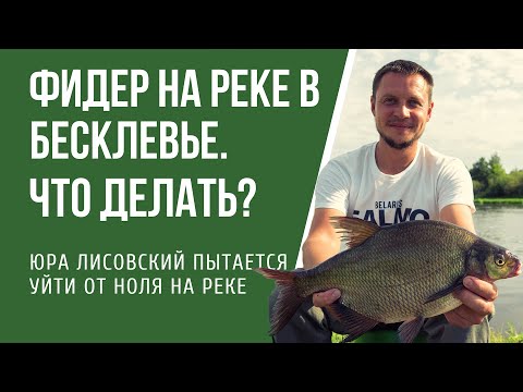 Как ловить фидером на реке, когда нет клева