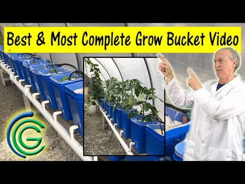 COMPLETE DUTCH BUCKET Instructions - DIY Hydroponic Grow Buckets