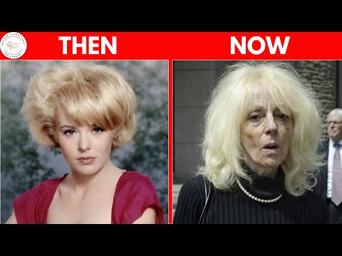 55+ Hollywood Actors of the 50s–60s: Still Inspiring Today | Then & Now 2026