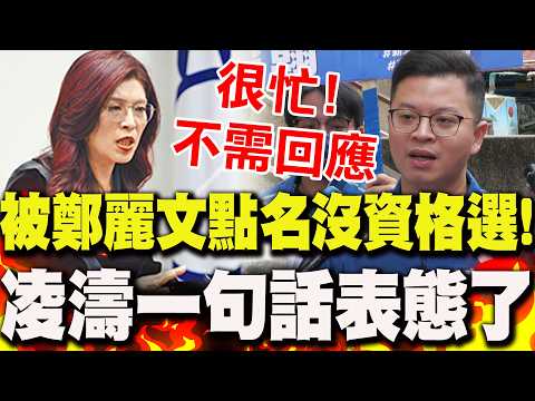 【全程字幕】鄭麗文談處份蕭敬嚴"卻點名凌濤"!朱系槓黨中央?本人"一句話"表態回應了
