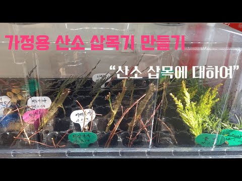 가정용 산소 삽목기 만들기, 산소 삽목에 대하여