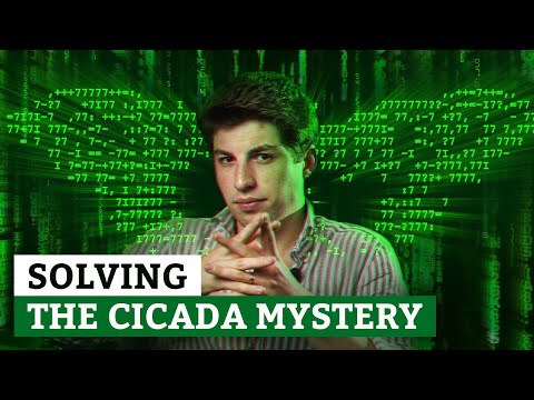 Chasing the Cicada | The Internet’s Most Puzzling Mystery | Sumsub