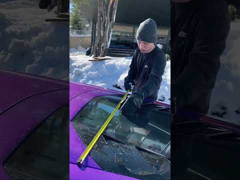 Ich komme ins Guineas Buch der Rekorde?! 📘🏆 (Reupload)