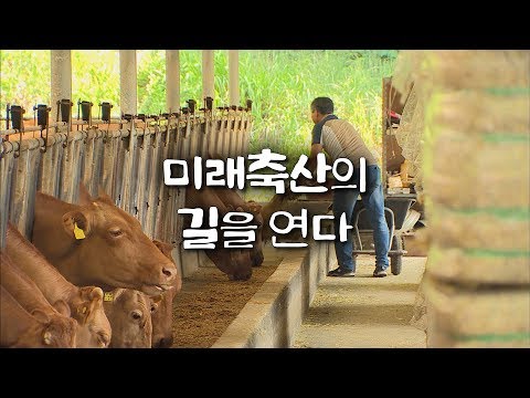 시대 요구에 발맞춰 변화하는 축산업, 미래축산의 길을 연다 [특집다큐]