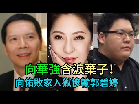 向華強含淚棄子！向佑狂妄叫囂「我爸是向華強」下場超慘，向太心死：百億身家寧給郭碧婷也不給廢柴兒子！ #向華強#向太 #郭碧婷 #向佐
