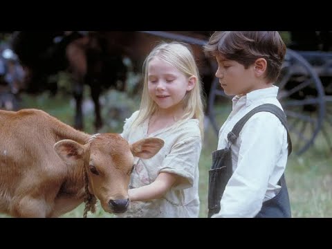 我看過最治愈的電影，如果你也被生活壓得喘不過氣，強烈建議看看！【光影】