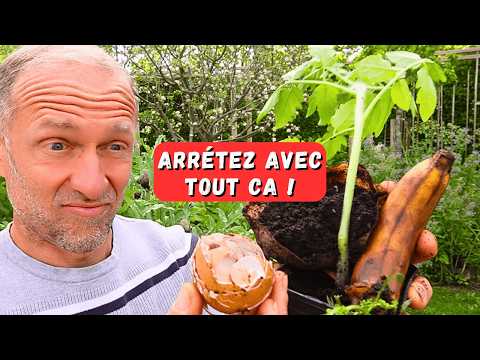 Plantation des tomates ► Les gestes à oublier et ceux qui comptent vraiment
